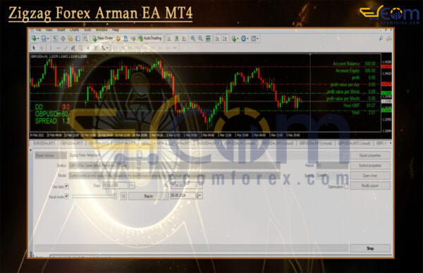 Zigzag Forex Arman EA MT4 Backtests