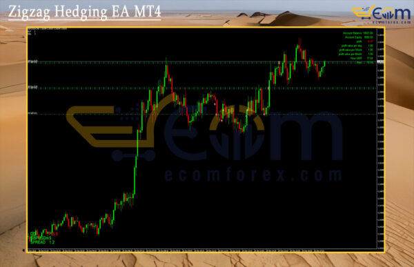Zigzag Hedging EA MT4 Review