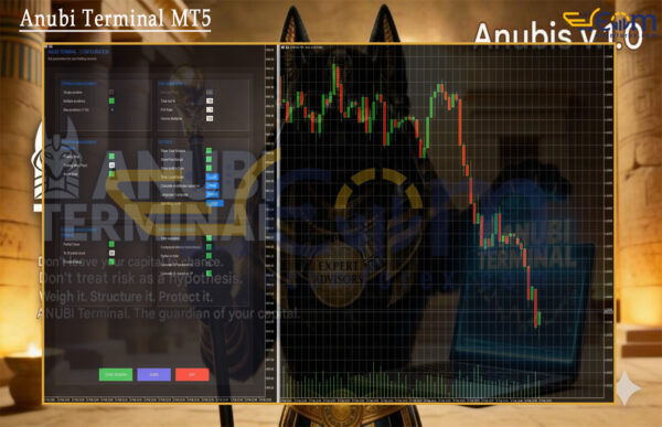 Anubi Terminal MT5 Signal