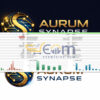 Aurum Synapse MT5 Backtests