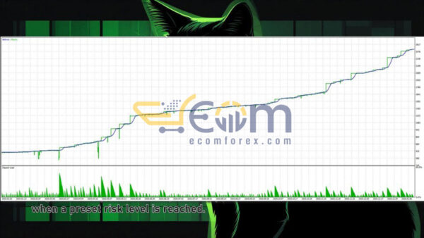 Black Cat AI MT5 Backtests