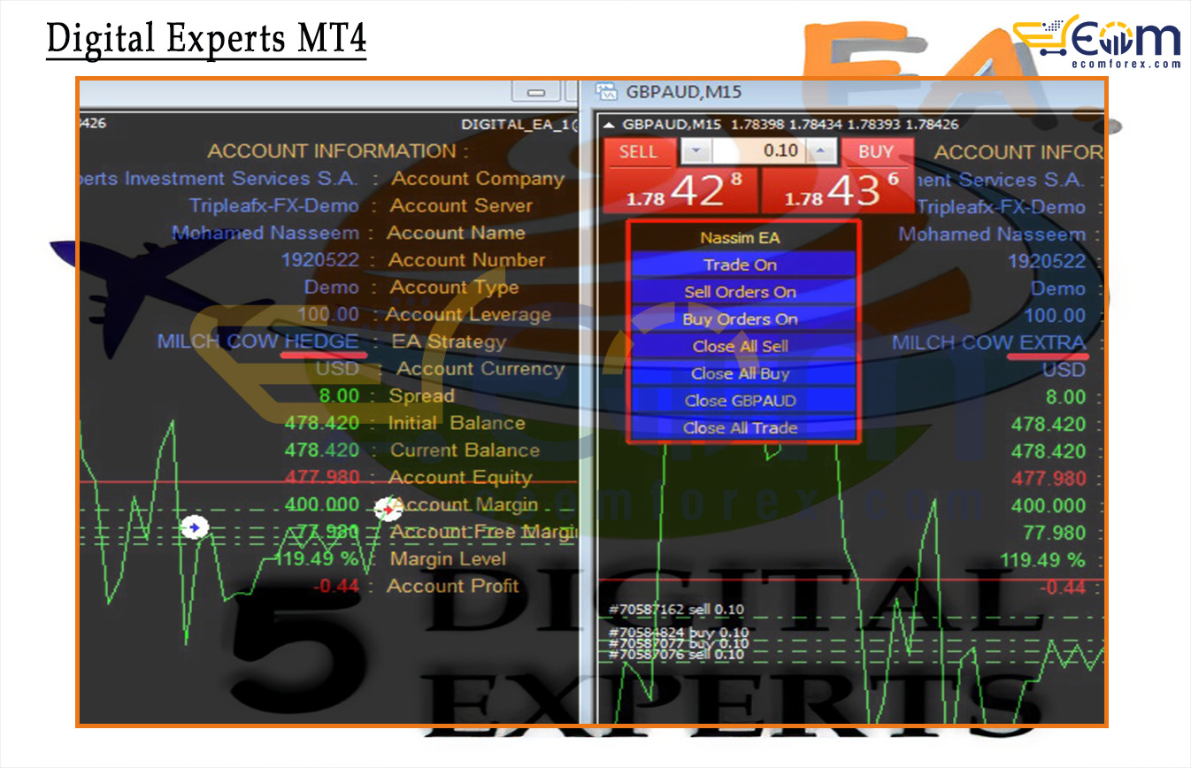 Digital Experts MT4 Reviews
