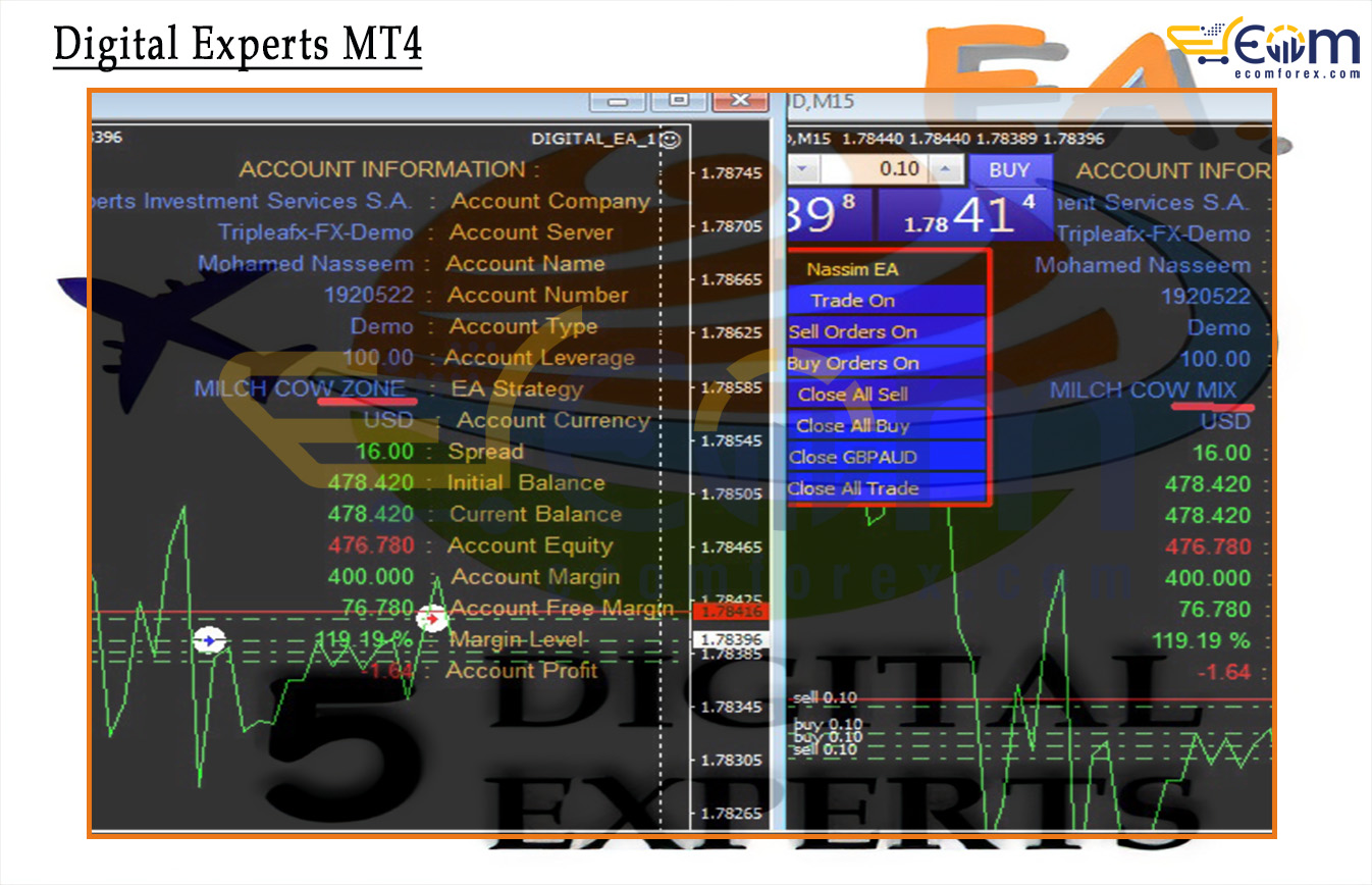 Digital Experts MT4 Signal