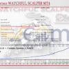 Expert Advisor WATCHFUL SCALPER MT4 Backtest