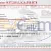 Expert Advisor WATCHFUL SCALPER MT4 Backtests