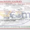 Expert Advisor WATCHFUL SCALPER MT4 Backtests Result