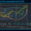 Forex crypto Fully Customizable Grid EA MT5 Input