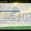 Gold Senator EA MT5 Backtests
