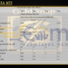 Gold Snap EA MT5 Input