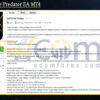 Gold Strike Predator EA MT4 Review
