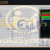 GoldSync EA MT5 Input