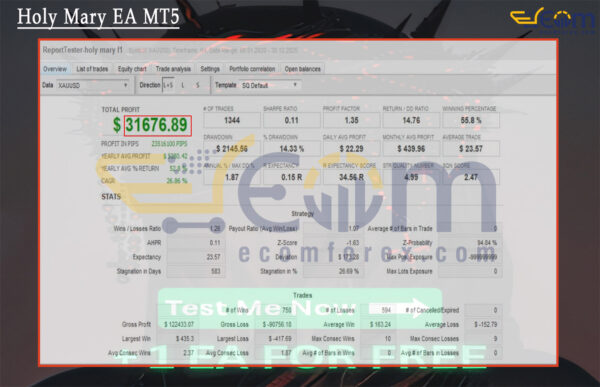 Holy Mary EA MT5 Backtests
