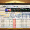Minting EA MT5 Backtests
