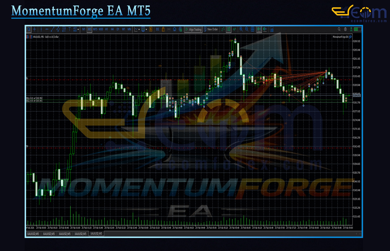 MomentumForge EA MT5 Review