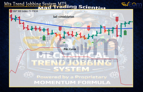 Mts Trend Jobbing System Review