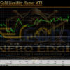 Nero edge Gold Liquidity Hunter MT5 Backtest