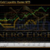 Nero edge Gold Liquidity Hunter MT5 Backtests