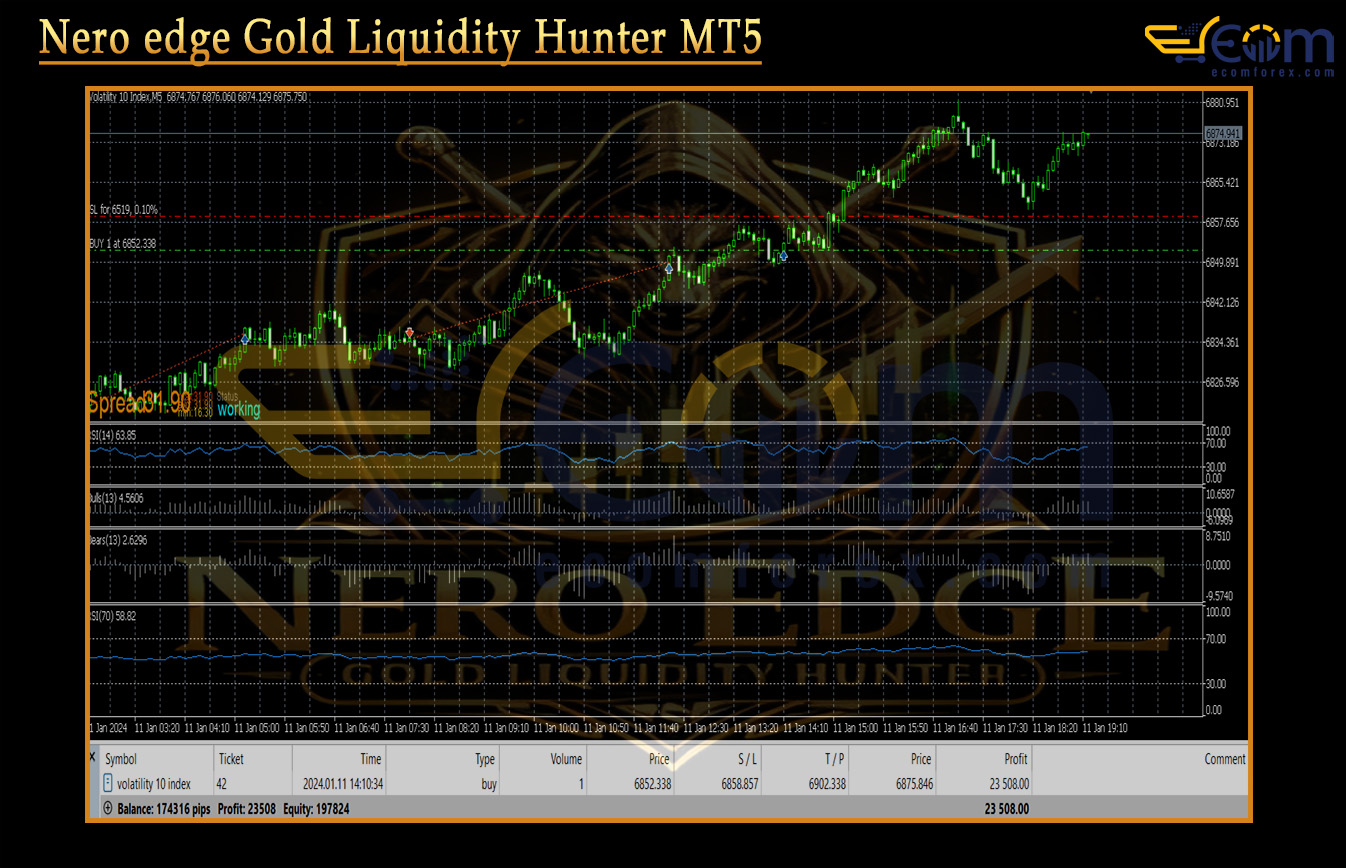 Nero edge Gold Liquidity Hunter MT5 Backtests