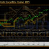 Nero edge Gold Liquidity Hunter MT5 Review