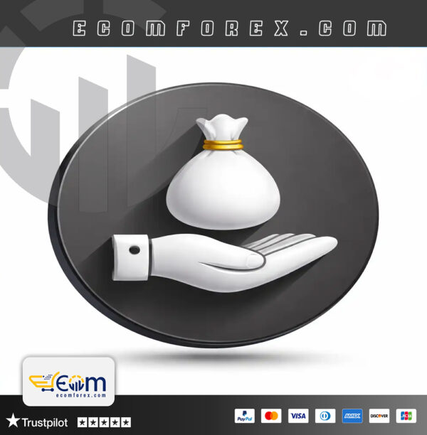 Noirtier Scalper EA MT4 Logo