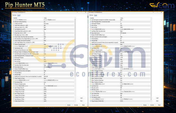 Pip Hunter MT5 Input