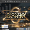 Quantum Scalperr Gold EA MT4 Logo