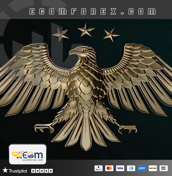 RSI MultiTimeframe MT5 Logo