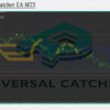 Reversal Catcher EA MT5 Review