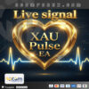 XAU Pulse EA MT5 Logo