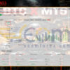 BTC X EA MT5 Live Result MyfxBook
