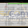 Forex Dominance EA MT5 Backtests