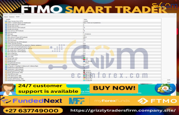 FTMO Smart Trader EA MT4 Input