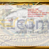 Golden BREAK EA MT5 Backtests
