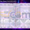 Hexa AI Bot MT5 Live Result
