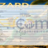 Lizard EA MT5 Input