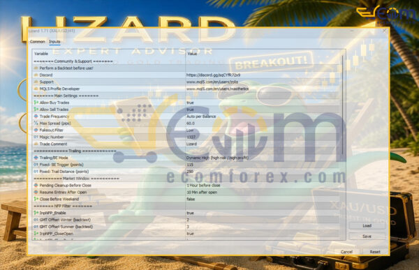 Lizard EA MT5 Input