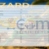 Lizard EA MT5 Inputs