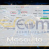 Mosquito EA MT5 Live Signal