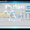 Pulse Engine EA MT5 Live Signal
