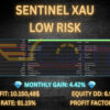 Sentinel XAU EA MT5 Backtests