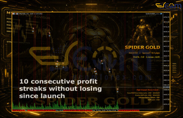 Spider Gold MT5 Review