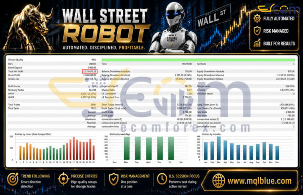 Wall Street Robot MT5 Backtest