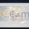 Gold Beaver EA MT5 Input