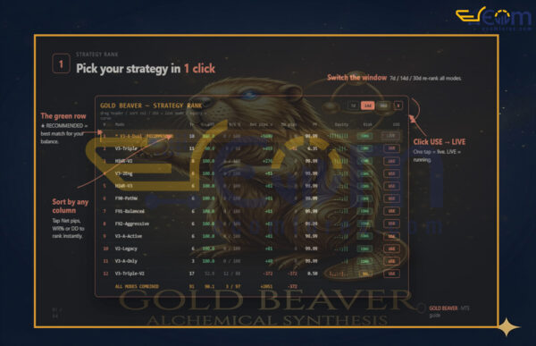 Gold Beaver EA MT5 Reviews