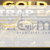 GoldTrap EA MT5 Input