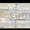 RFP Gold Scalping EA MT4 Input