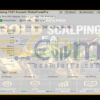 RFP Gold Scalping EA MT4 Live Result MyfxBook