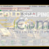RFP Gold Scalping EA MT4 Live Signal MyfxBook