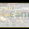 RFP Gold Scalping EA MT4 Live Signal MyfxBooks