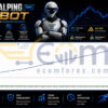 Scalping Robot Pro MT5 Backtest